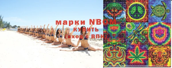 сатива Белокуриха