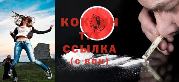 сатива Белокуриха